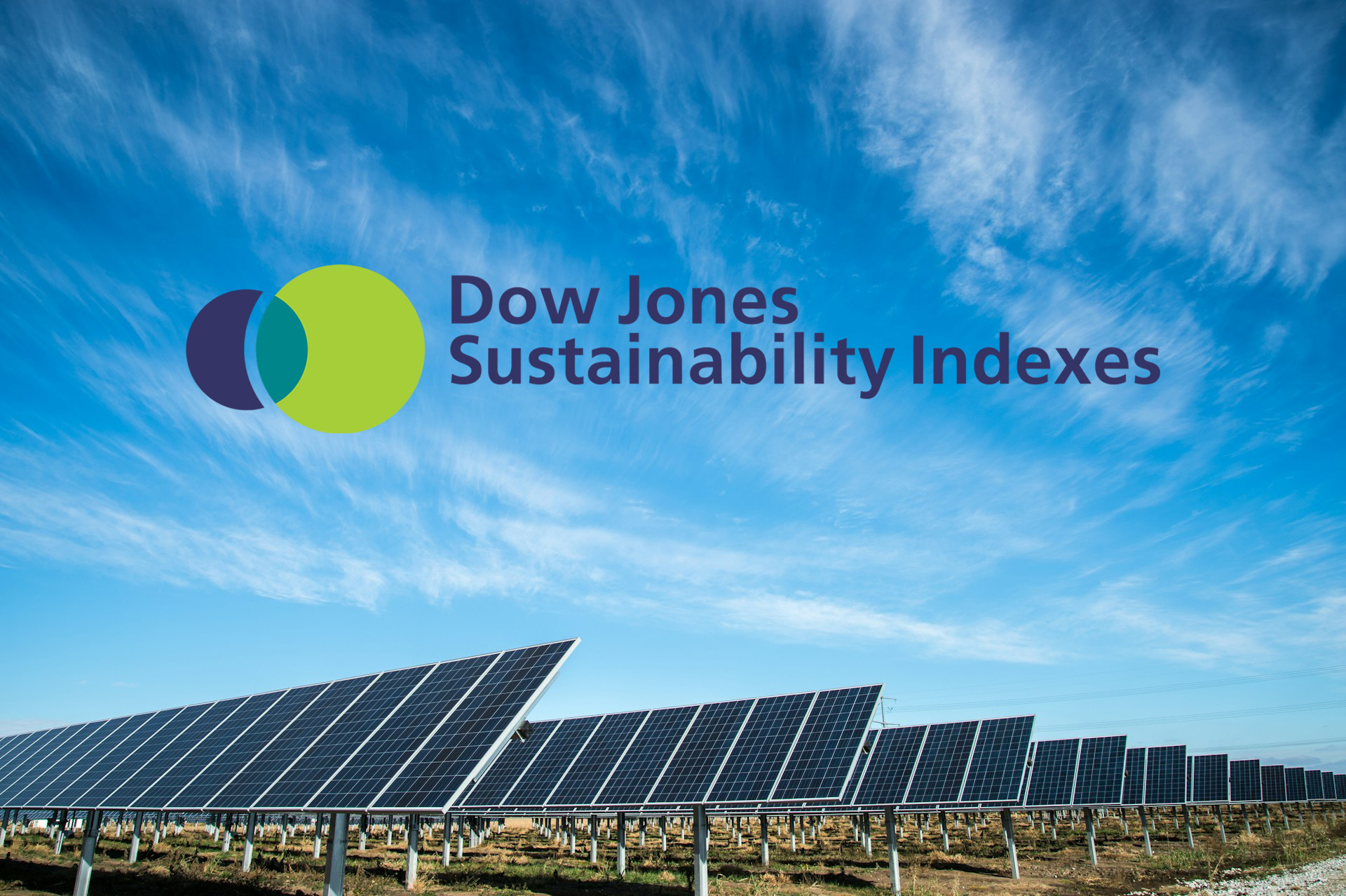 DJSI Sustainability Assessment