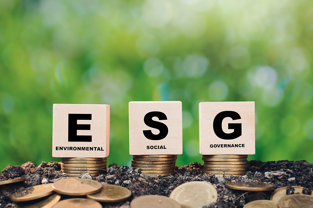 ESG Strategy Consulting
